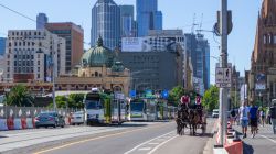Melbourne, street view del centro: tram, filobus e una carrozza trainata da due cavalli (Australia) - © tmpr / Shutterstock.com