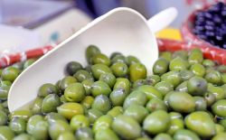 Melendugno Puglia, la Sagra dell'olivo, provincia di Lecce