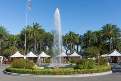 Mercatino dell'Antiquariato tra le palme del lungomare di San Benedetto del Tronto - © Vincenzo De Bernardo / Shutterstock.com