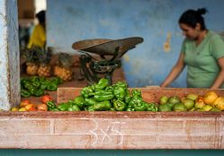 Bayamo, Cuba: il "mercado agropecuario" è il tradizionale luogo dove si vendono i frutti della terra - © EsHanPhot / Shutterstock.com
