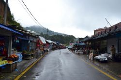 Mercato, Cameron Highlands: lungo la strada che conduce alle Cameron Highlands si incontrano mercati frequentati dalla gente del luogo, dove è possibile comprare frutta e verdura prodotta ...