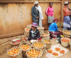 Il mercato degli agricoltori nella città di Antananarivo (Madagascar). Il commercio informale è una delle principali forme di sussistenza della popolazione malgascia - foto ...