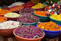 Mercato dei fiori a Chala, Trivandrum, India, durante le celebrazioni dell'Onam. E' una ricorrenza dedicata allo sport e ai riti festeggiata in memoria dell'età dell'oro ...