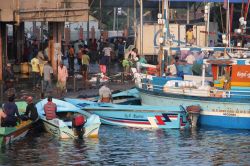 Le imbarcazioni arrivano all'animato mercato del pesce di Negombo (Sri Lanka) al mattino - © Gail Palethorpe / Shutterstock.com