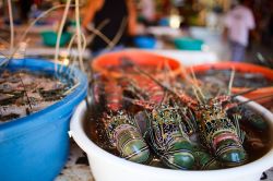 Molluschi in vendita al mercato del pesce sull'isola di Boracay, la più turistica dell'arcipelago delle Filippine.