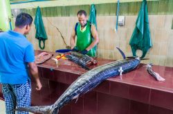 Alcuni pesci spada in vendita presso il mercato del pesce di Malé, la piccola capiale delle Maldive - foto © Matyas Rehak / Shutterstock.com
