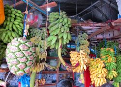 Il coloratissimo mercato della frutta a Malé, la capitale delle Maldive. Qui è possibile trovare i frutti esotici prodotti sugli atolli - foto © Viroonrat Trapcharoen ...