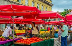 Mercato di prodotti freschi a Zagabria, Croazia. Vicino a Piazza Kvaternik si trova uno dei più grandi e popolari mercati di Zagabria dove si possono acquistare prodotti freschi direttamente ...