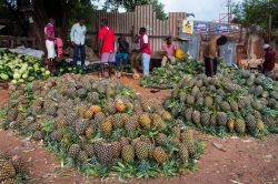 La frutta si può trovare praticamente ad ogni angolo nelle città del Kenya. Qui siamo a Malindi, sulla costa - foto © Byelikova Oksana / Shutterstock.com