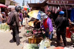 Al mercato settimanale di Tomohon si vendono animali di ogni specie, compresi i cani, che fanno parte della cucina tradizionale di alcune etnie dell'isola di Sulawesi - foto © Artush ...