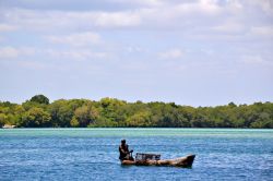 Mida Creek, Watamu (Kenya): un pescatore locale nella baia di Mida Creek. Questa zona è protetta e ai turisti è interdetta la pesca, ma è consentita quella per la sussistenza ...