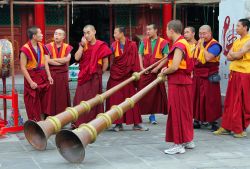 Monaci buddhisti intenti a presentare le annuali vacanze al monastero Dazhao a Hohhot, Mongolia Interna. - © Katoosha / Shutterstock.com