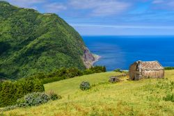Montagne e oceano: uno splendido paesaggio sull'isola di Sao Miguel nelle Azzorre (Portogallo) - © 217004875 / Shutterstock.com