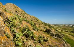 Monte Zara, si trova vicino a Monastir e domina la piana del Campidano in Sardegna