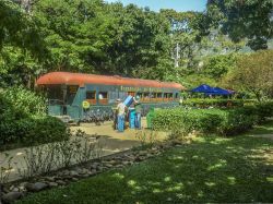 Monumento a un antico treno nel parco botanico di Medellin, Colombia - © DFLC Prints / Shutterstock.com