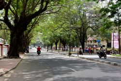 Motociclette nella verdeggiante avenue Museum-Vellayambalam a Trivandrum, India - © Ajayptp / Shutterstock.com 