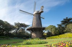 Il mulino a vento della regina olandese Guglielmina e il giardino dei tulipani a San Francisco, California.



