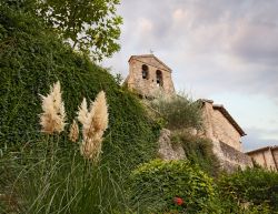 Mura con rampicanti e campanile della chiesa cattolica visti dal basso di Bevagna, Umbria, Italia.



