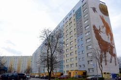 Murales nel quartiere di Zaspa: gli enormi palazzi socialisti degli anni Settanta di Danzica sono stati in parte riqualificati e riportati a nuova vita da un collettivo artistico e culturale, ...
