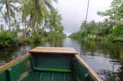 La zona umida della Muthurajawela Marsh si trova a sud della Laguna di Negombo, nello Sri Lanka.