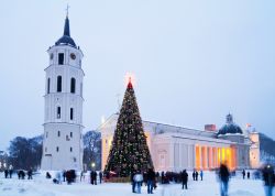 La piazza della Cattedrale di Vilnius coperta ...