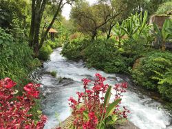 Natura rigogliosa al Parco Lineal di Uruapan, Messico. Un suggestivo scorcio panoramico di questa lussureggiante foresta nei pressi di Uruapan.
