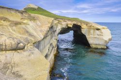 Arco naturale in roccia a Tunnel Beach, Dunedin, Nuova Zelanda. Questa suggestiva spiaggia ha scogliere in arenaria scavate nel mare, archi di roccia e grotte - © Noradoa / Shutterstock.com ...