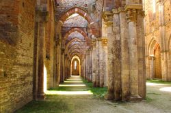 Navata laterale dell'Abbazzia di San Galgano a Chiusdino, in Toscana