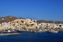 Naxos, isole Cicladi, Grecia - Erode diceva che Naxos significa "la fertile fra le isole" e Pindaro la chiamava l'oleosa. In epoca antica, come ancora oggi, frutta, olio e vino ...