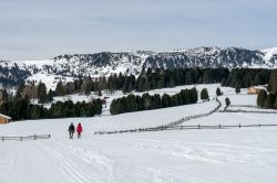 Neve sull'altopiano a Rinderplatz appena sopra a Villandro in Alto Adige - © Philip Bird LRPS CPAGB / Shutterstock.com