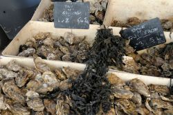 Nevers, confezioni di ostriche provenienti dalla baia del Quiberon al mercato del pesce (Francia).
