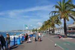 Promenade des Anglais a Nizza, Francia. Lungomare e vero e proprio simbolo della città della Costa Azzurra, la Promenade più celebre di Francia si estende per sette chilometri ...
