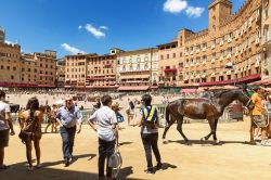 Non solo a luglio ed agosto! Esiste anche il palio di Siena straordinario, organizzato per ricorrenze particolari - © Petr Jilek / Shutterstock.com
