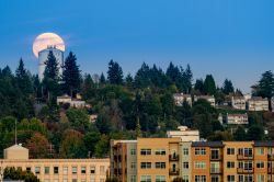 Olympia, luna piena sulla capitale dello stato di Washington, Stati Uniti.

