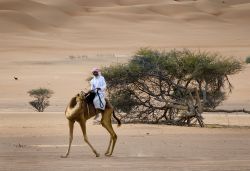 Oman: la natura selvaggia del deserto - Copyright ...