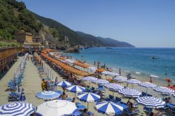 Ombrelloni a Monterosso al Mare, Liguria, Italia - La bella spiaggia di questa famosa località delle Cinque Terre, in provincia di La Spezia. Per chi ama gli scorci paesaggistici più ...
