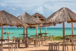 Ombrelloni e tavoli in legno e paglia su una spiaggia di Barra do Camaragibe, stato di Alagoas, Brasile.
