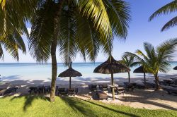 Ombrelloni in paglia e palme da cocco sulla spiaggia di Mont Choisy, Mauritius (Africa) - © isogood / Shutterstock.com