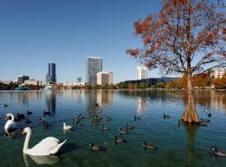 Grattacieli e lago Eola a Orlando, Florida - Una bella veduta panoramica sul lago Eola con sullo sfondo alcuni dei grattacieli che si innalzano nella città di Orlando: sono oltre 40 gli ...