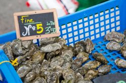 Le ostriche numero 5 in un mercato locale di Marennes, Francia. Per via delle numerose aziende di allevamento che ne esportano in tutta Europa, Marennes è nota anche come "città ...
