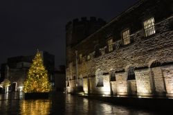 Oxford, Inghilterra: albero di Natale illuminato di notte nel giardino di un castello medievale.
