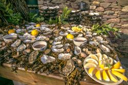 Oyster and Seafood Festival, la Festa delle Ostriche a Galway in Irlanda.