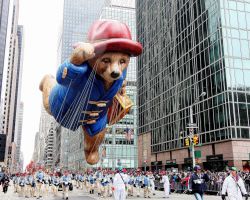 Paddington durante la parata del Giorno del Ringraziamento a New York City