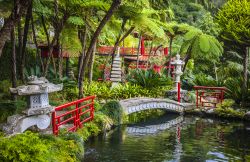 Il padiglione giapponese Monte Tropical Gardens a Madeira (Portogallo) - Un'area immersa nel verde ma sarebbe più corretto dire un'area immersa totalmente nella bellezza della ...