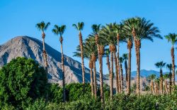 Paesaggio a Palm Springs in California con le San Jacinto Mountains sullo sfondo.