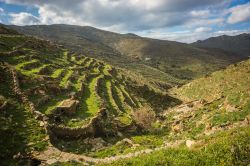 Paesaggio agreste sull'isola di Tino, Grecia: con il loro attento lavoro, i contadini isolani hanno formato dei piccoli prati ricavati da aree montagnose precedentemente incoltivabili.

 ...