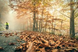 Paesaggio autunnale a Ezcaray, Spagna - Un suggestivo scenario naturale nei pressi di Ezcaray fotografato in una giornata di foschia © funkyfrogstock / Shutterstock.com