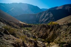 Paesaggio autunnale nei pressi di Pisco Elqui durante la caduta delle foglie, Cile.

