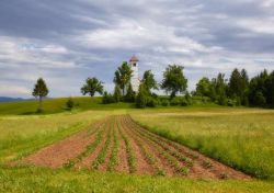 Paesaggio collinare intorno a Cerknica, Slovenia - Comune con un paesaggio da fiaba, formato da tanti piccoli villaggi spersi sul territorio, a Cerknica la natura è protagonista assoluta ...