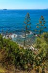 Paesaggio costiero a Piombino, provincia di Livorno, Toscana.
